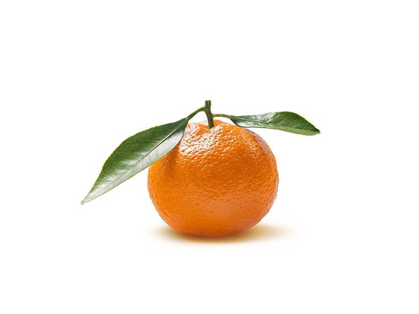 Orange, the Color of the Moment!