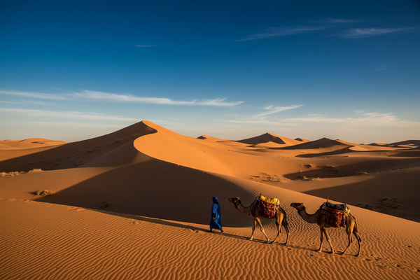 Morocco in 7 Days — The Fes, Desert and Marrakech Circuit