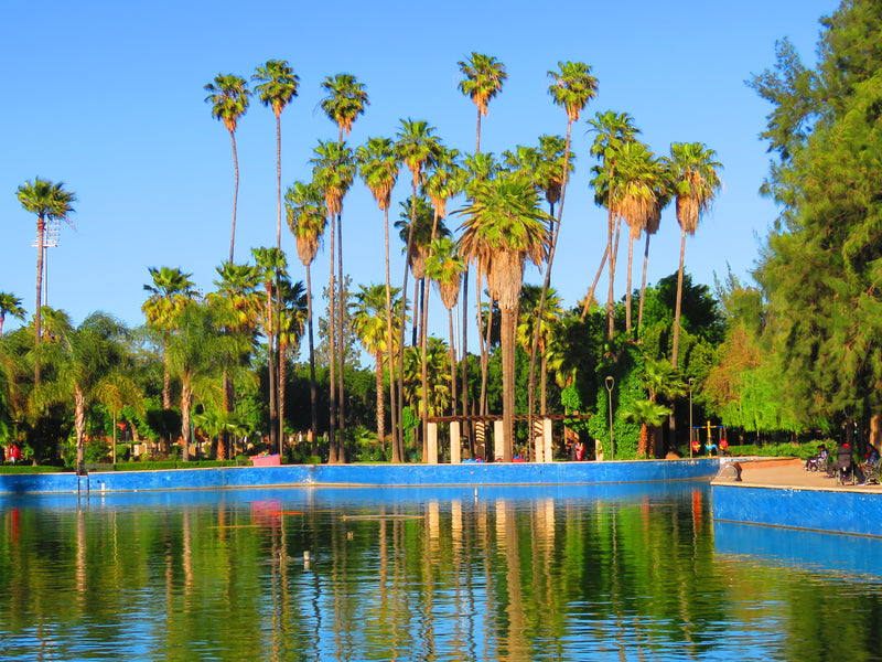 Palm trees reflected in the lake at Oued Zem, Morocco, with people along the banks.