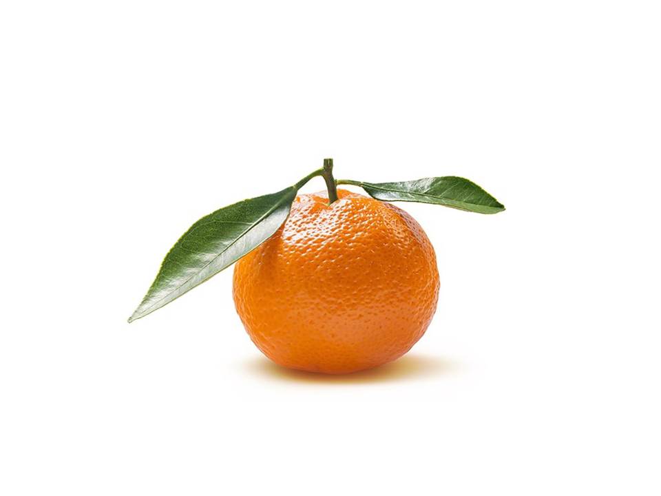 Orange, the Color of the Moment!