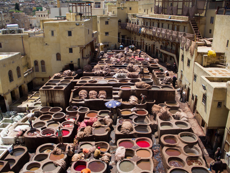 Chouara Tannery: One Thousand Years of Leather in Fès