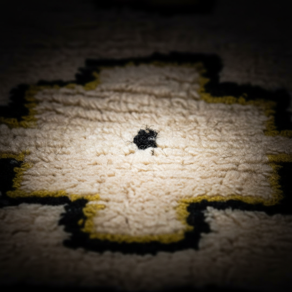 Azel — Image 2 | The Mark