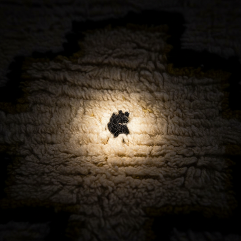 Azel — Image 4 | The Detail