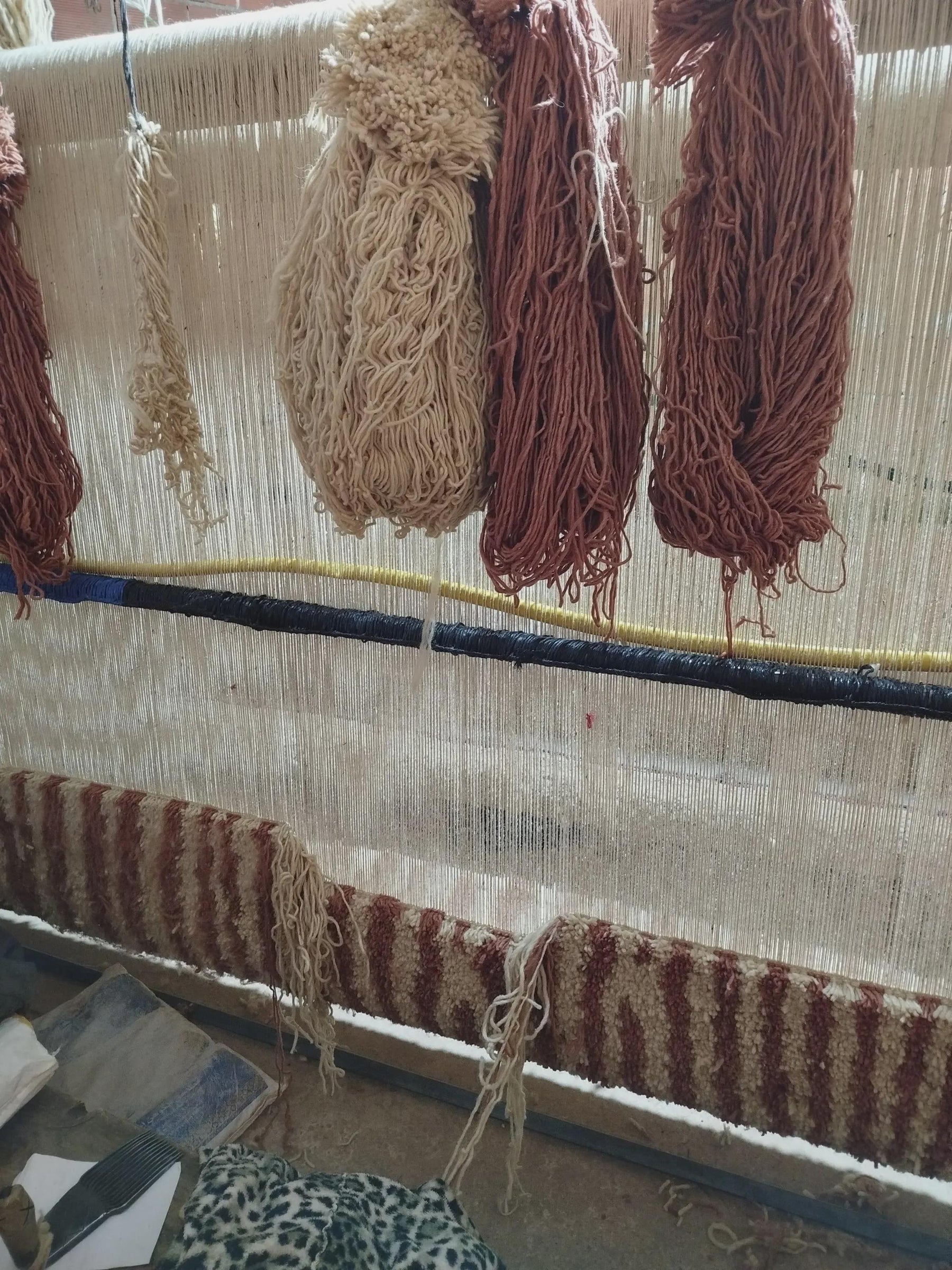 Moroccan Wool